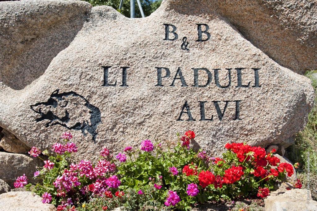 Bed And Breakfast Li Paduli Alvi 카니지오네 외부 사진