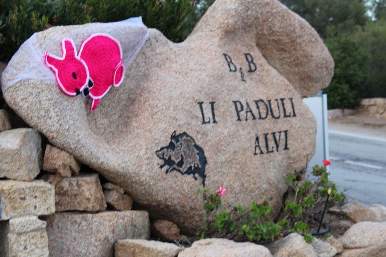 Bed And Breakfast Li Paduli Alvi 카니지오네 외부 사진
